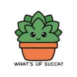 9046746575888878430 1200