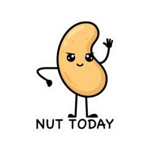 Nut Today Cashew Sticker
